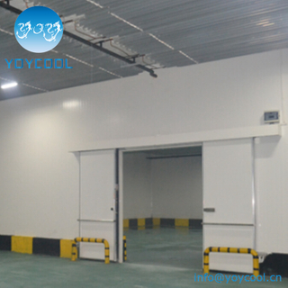 Cold Storage Room For Vegetables