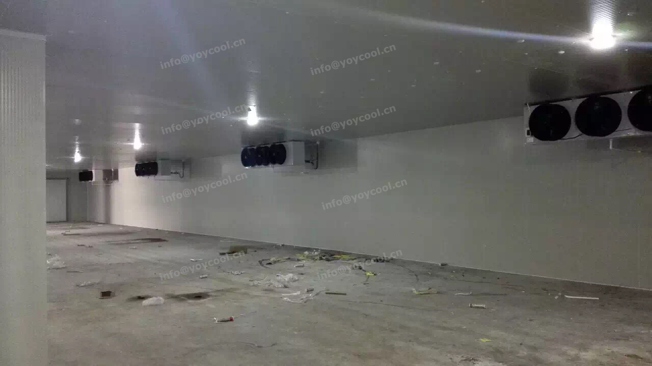 DUBAI COLD ROOM 2_副本