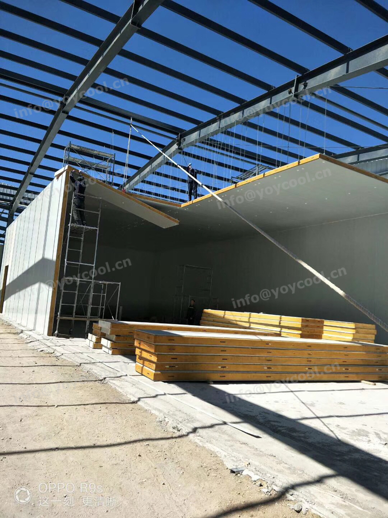 Mongolia cold room project (2)_副本