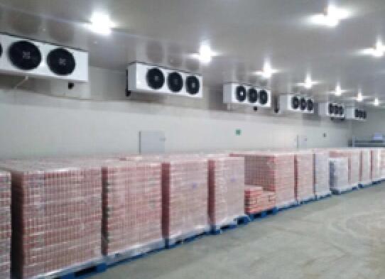 New Zealand Milk Cold Storage Room 