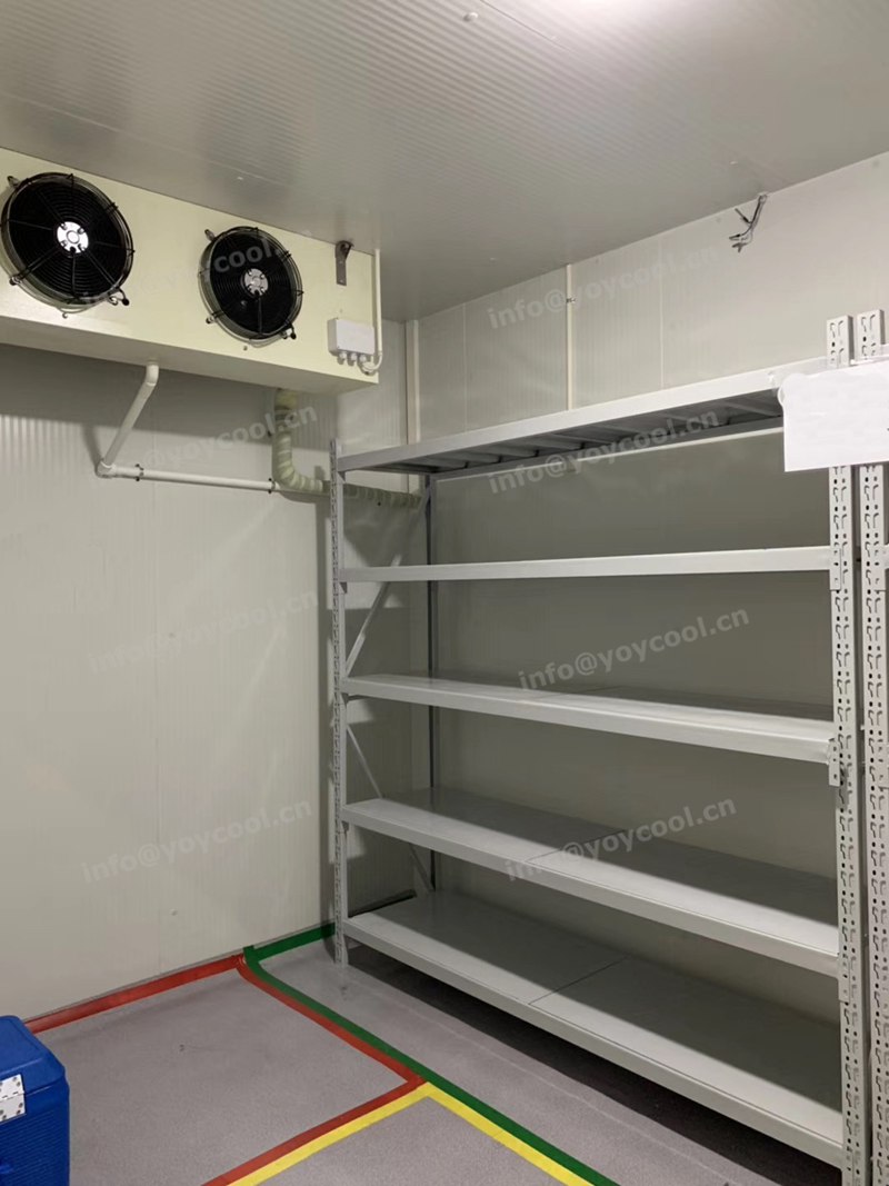 www.yoycool.cn- Kenya medicine cold storage room(3)