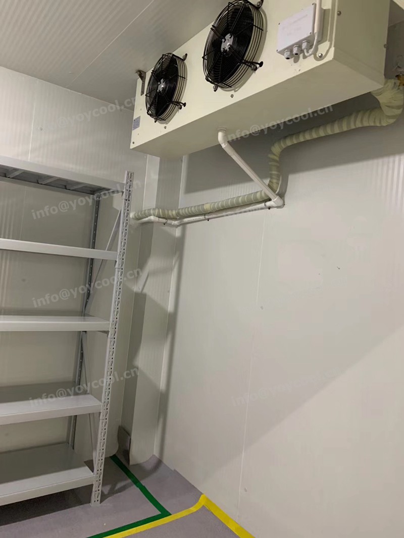 www.yoycool.cn- Kenya medicine cold storage room(2)