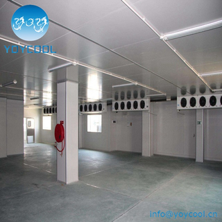 Frozen Cold Room For Meat And Fish