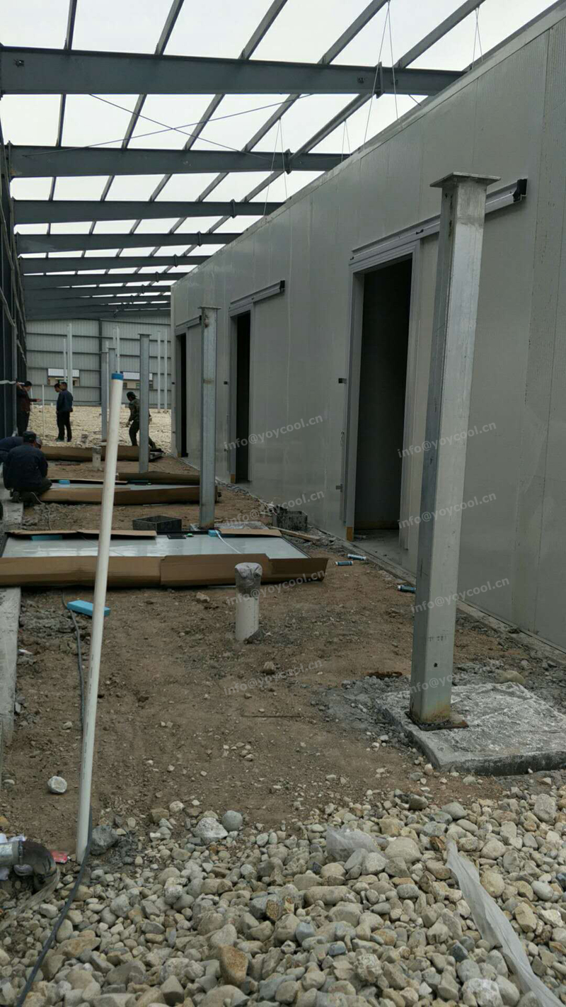 Mongolia cold room project (5)_副本