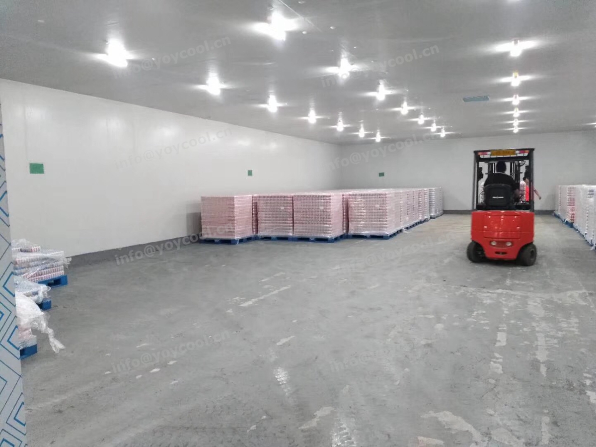 New Zealand milk cold storage room - www.yoycool.cn(11)