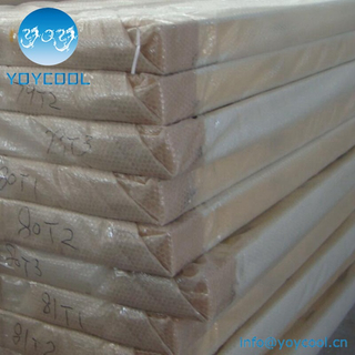 Cold Room PU Panel