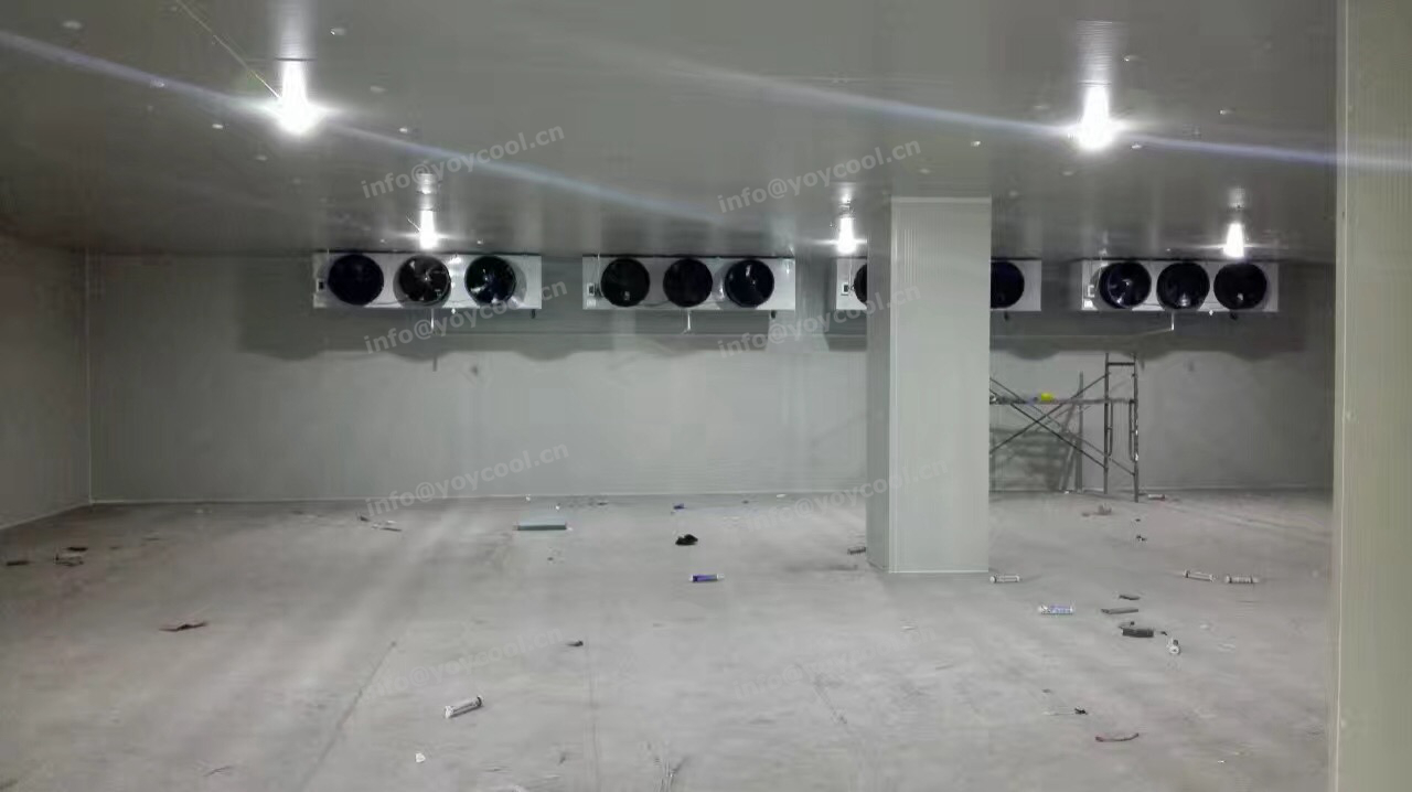 DUBAI COLD ROOM 1_副本