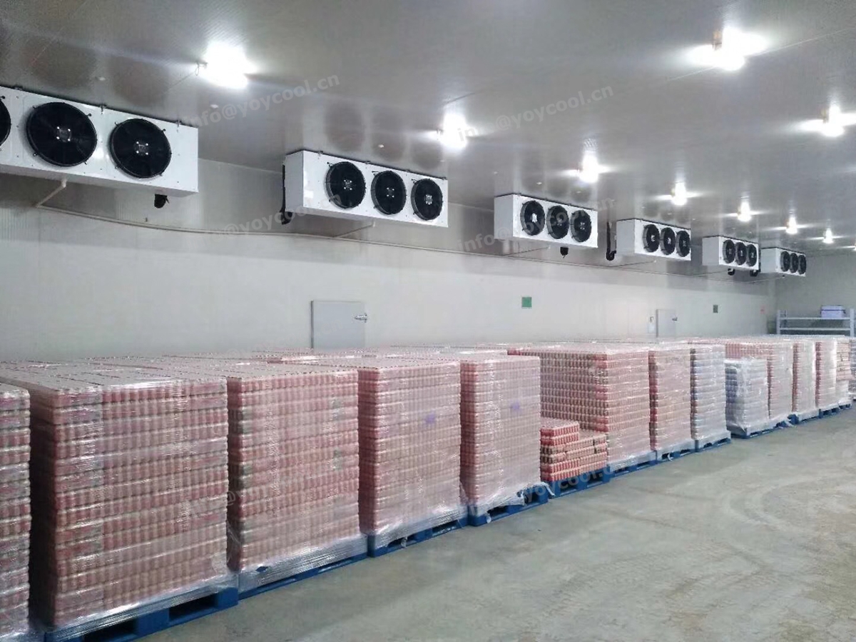 New Zealand milk cold storage room - www.yoycool.cn(12)
