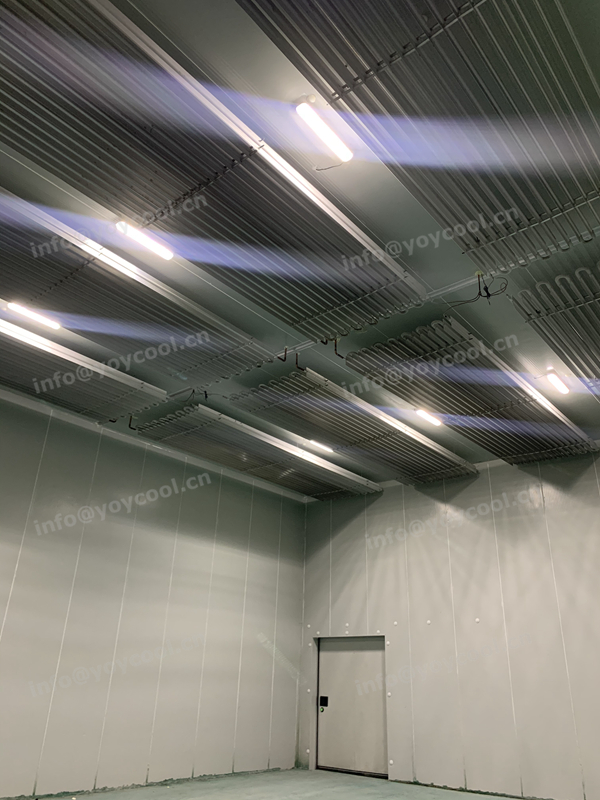 Reconstruction of food processing plant in Indonesia-YOYCOOL (10)