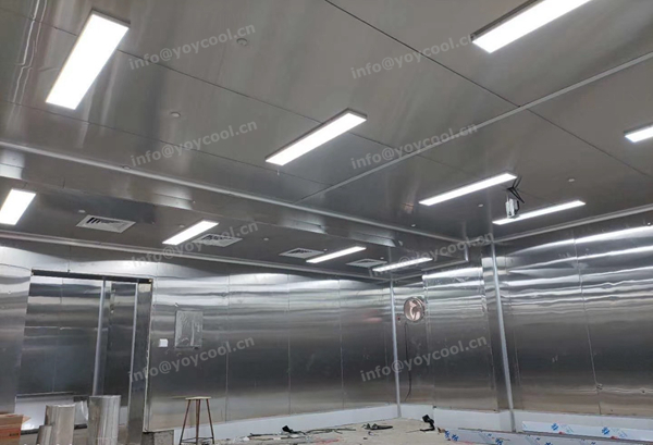 Indonesia Meat Processing Factory (5)