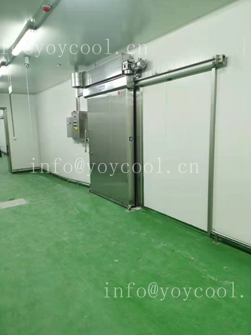 Indonesian food cold storage-1