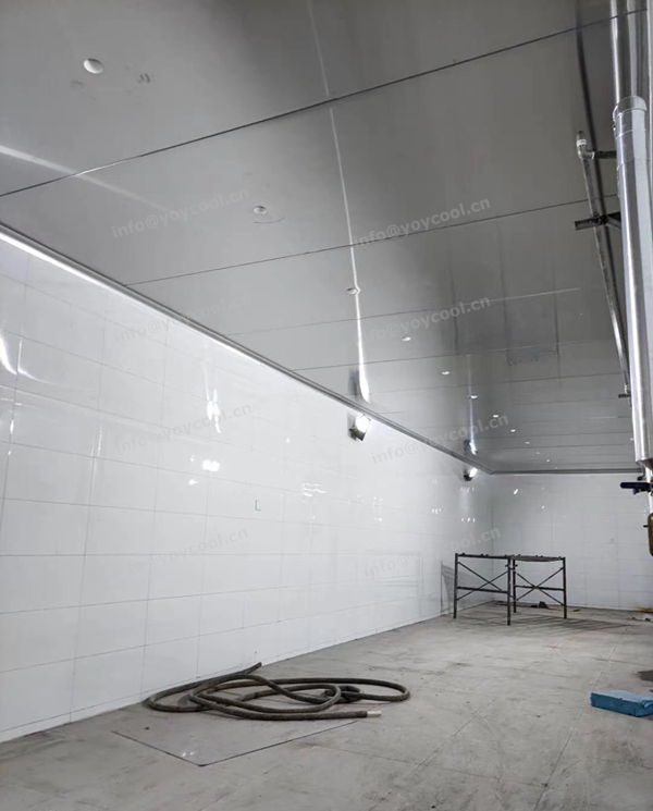 Indonesia Meat Processing Factory (8)