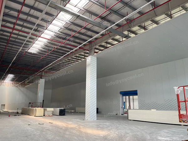 Singapore freezer room - YOYCOOL (7)