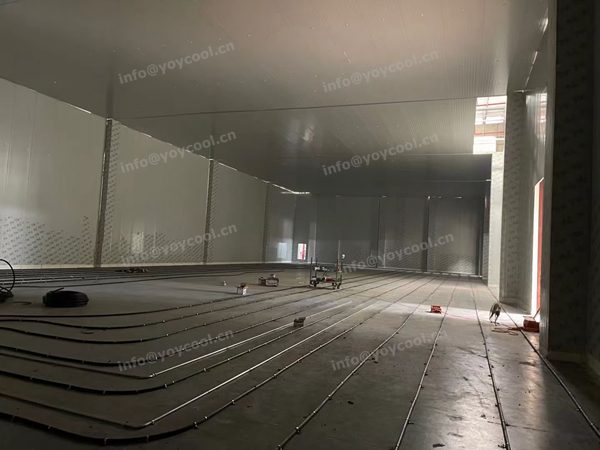 Singapore freezer room - YOYCOOL (1)