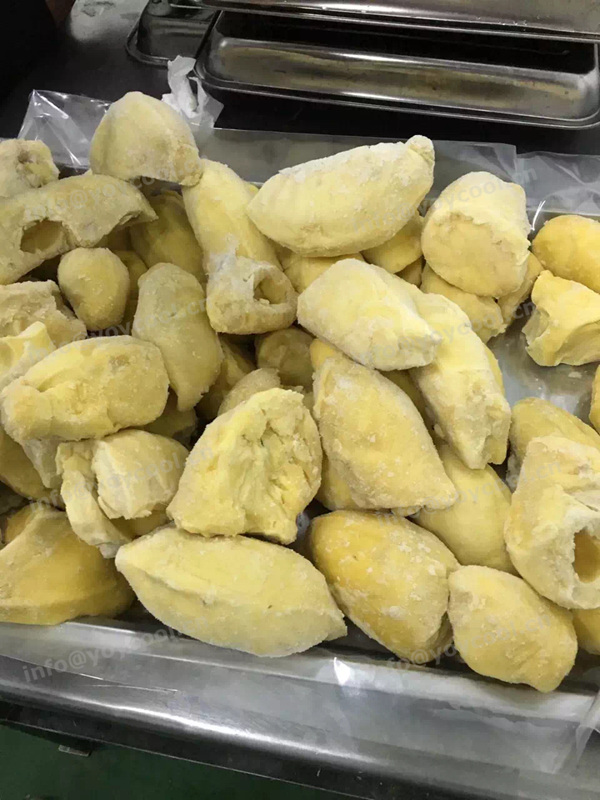 Thailand durian cold room - YOYCOOL (3)