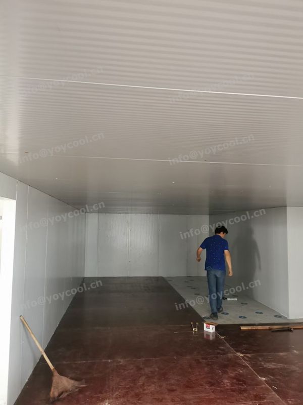 Indonesia freezer room - YOYCOOL (2)