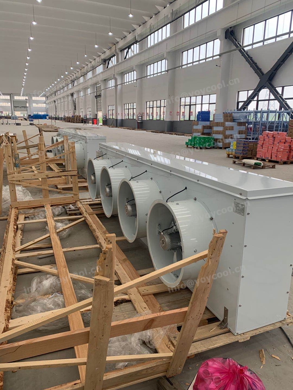 Cold storage room -YOYCOOL (7)_副本