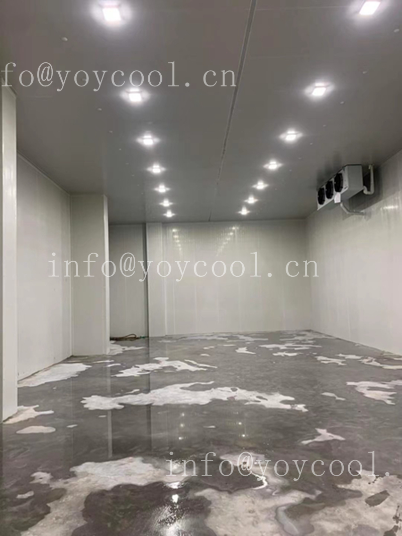 Guyana cold room 2_副本