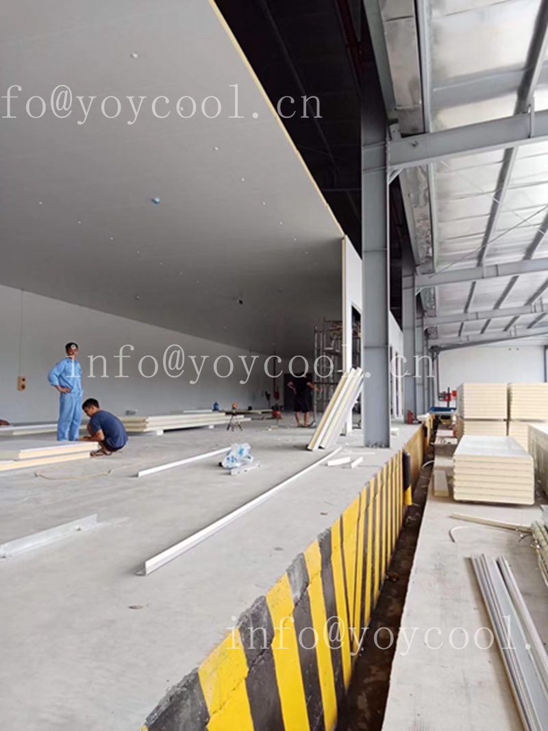 Philippines Cold Room From China YOYCOOL 