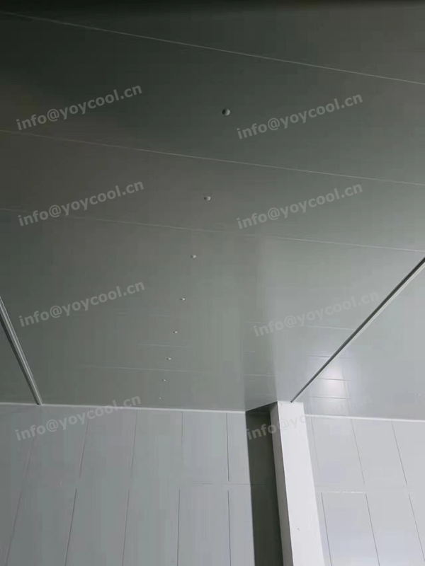 YOYCOOL-USA Fresh Room(2)