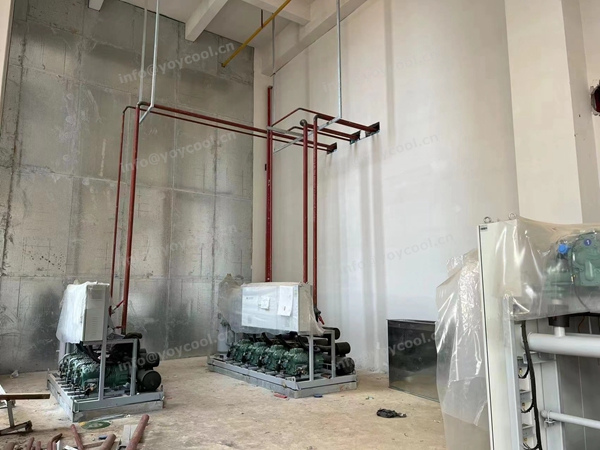 YOYCOOL-Indonesia Deep Freeze Room(3)