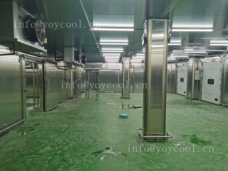 Indonesian food cold storage-9