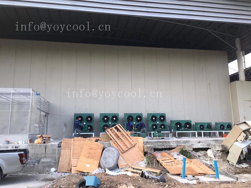 Philippines cold room -5