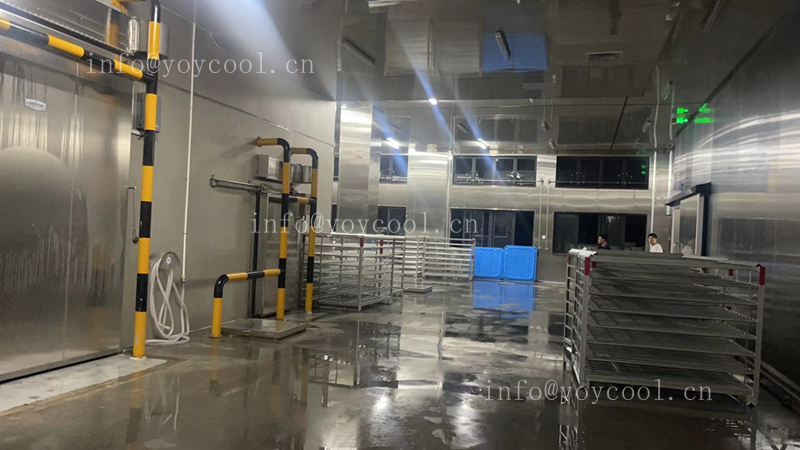 Indonesian seafood processing freezer-7