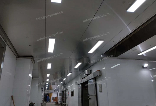 Indonesia Meat Processing Factory (4)