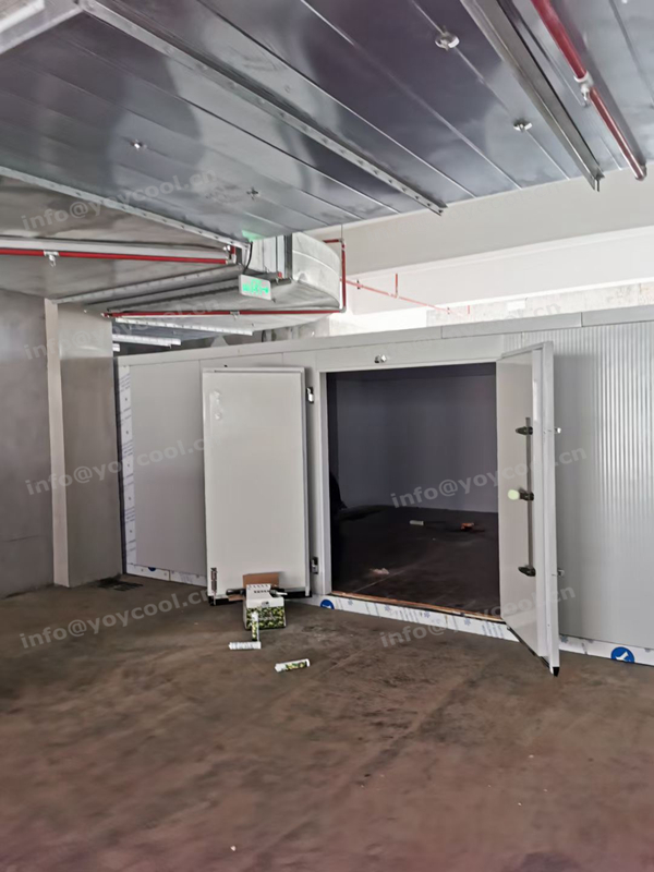 Indonesia freezer room - YOYCOOL (3)