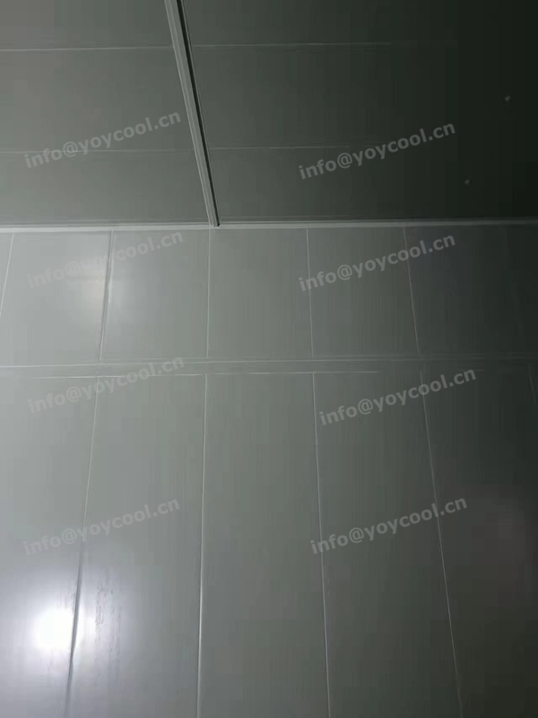 YOYCOOL-USA Fresh Room(5)