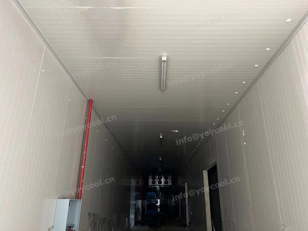 YOYCOOL-Indonesia Deep Freeze Room(4)