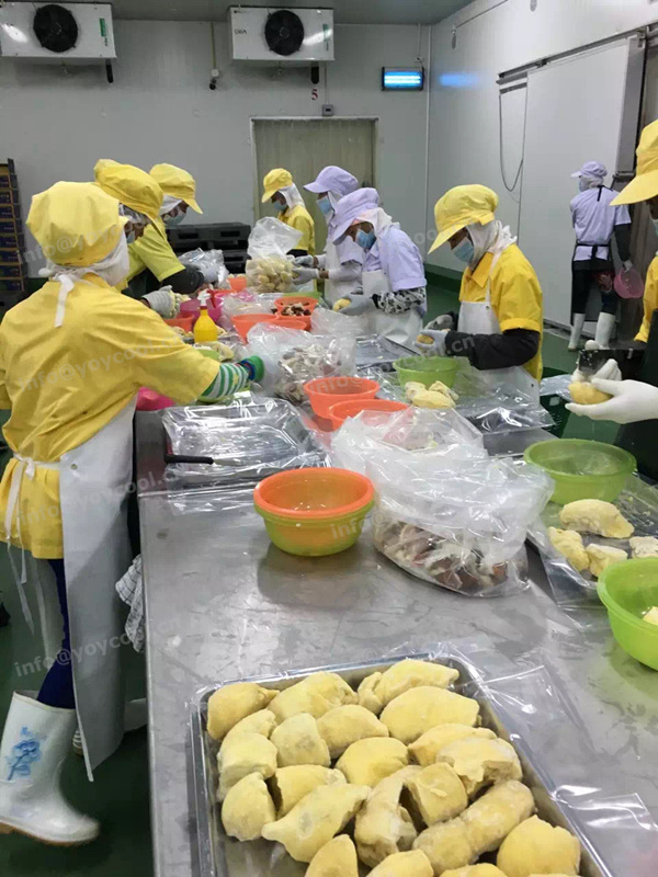 Thailand durian cold room - YOYCOOL (4)