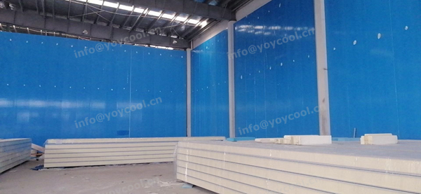 Tuna fish storage room-YOYCOOL (3)_副本