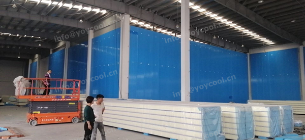 Tuna fish storage room-YOYCOOL (5)_副本