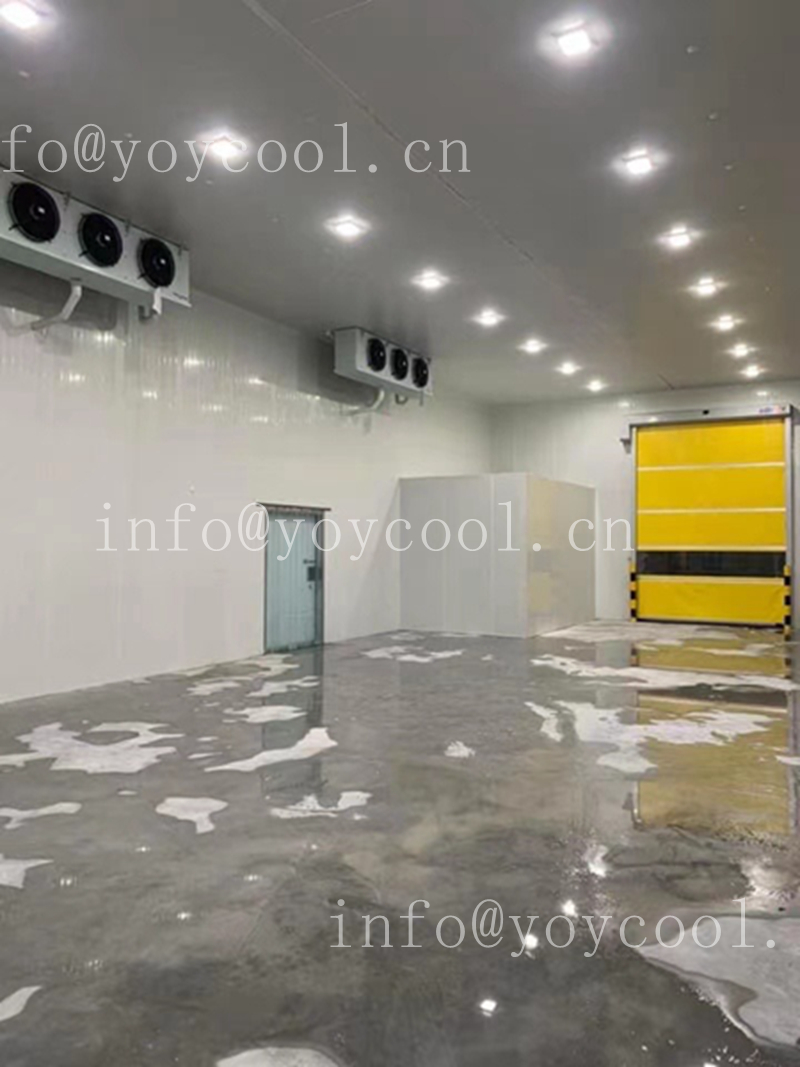 Guyana cold room 3_副本