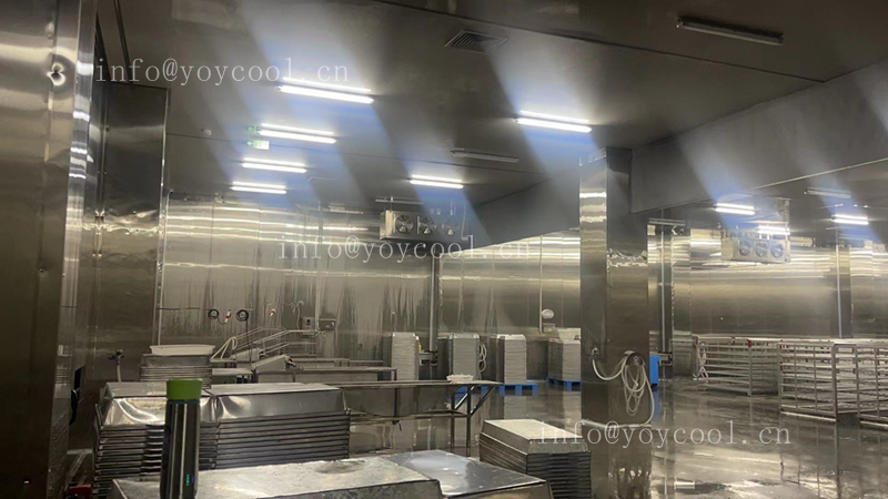 Indonesian seafood processing freezer-4