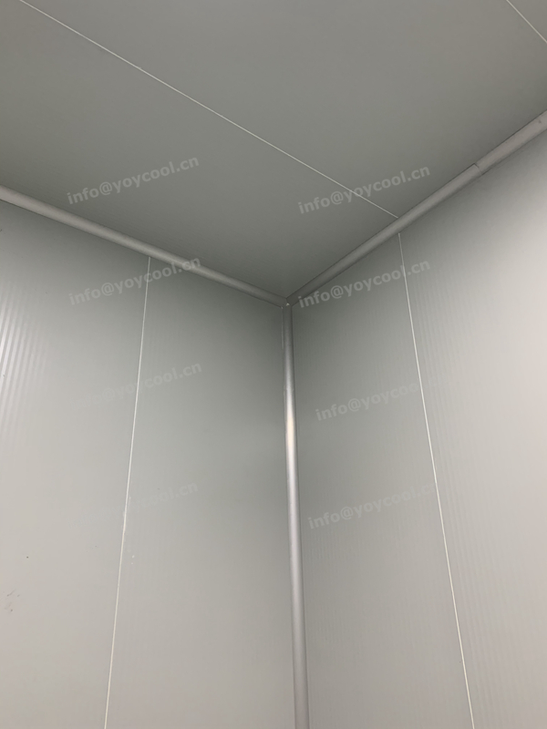 Reconstruction of food processing plant in Indonesia-YOYCOOL (2)