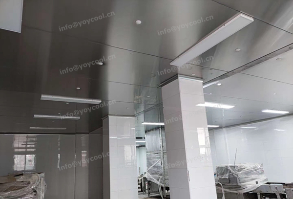 Indonesia Meat Processing Factory (3)