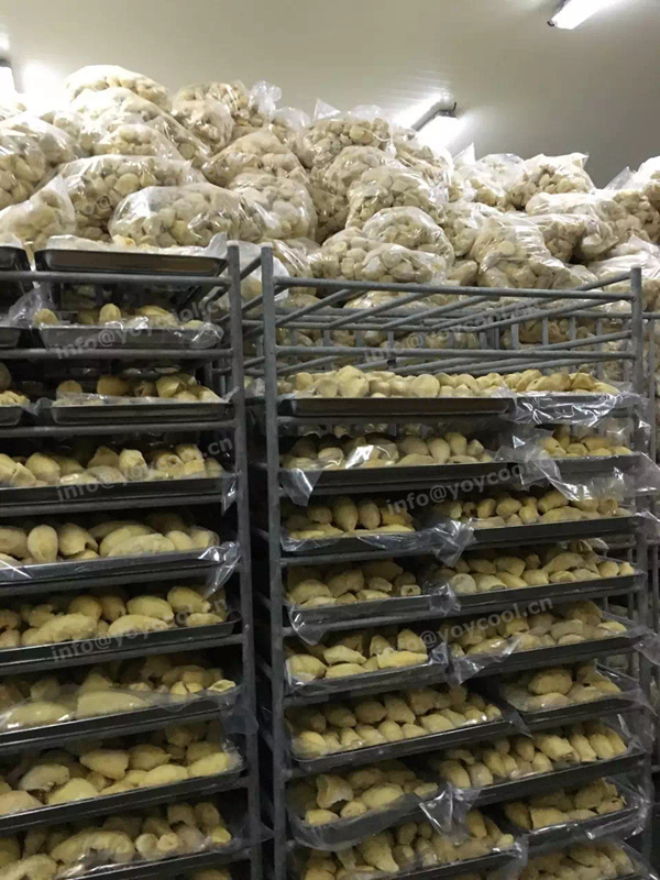 Thailand durian cold room - YOYCOOL (2)