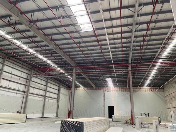 Singapore freezer room - YOYCOOL (2)