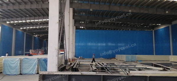 Tuna fish storage room-YOYCOOL (2)_副本