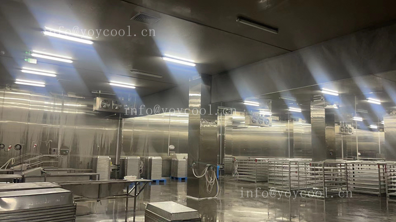 Indonesian seafood processing freezer-6