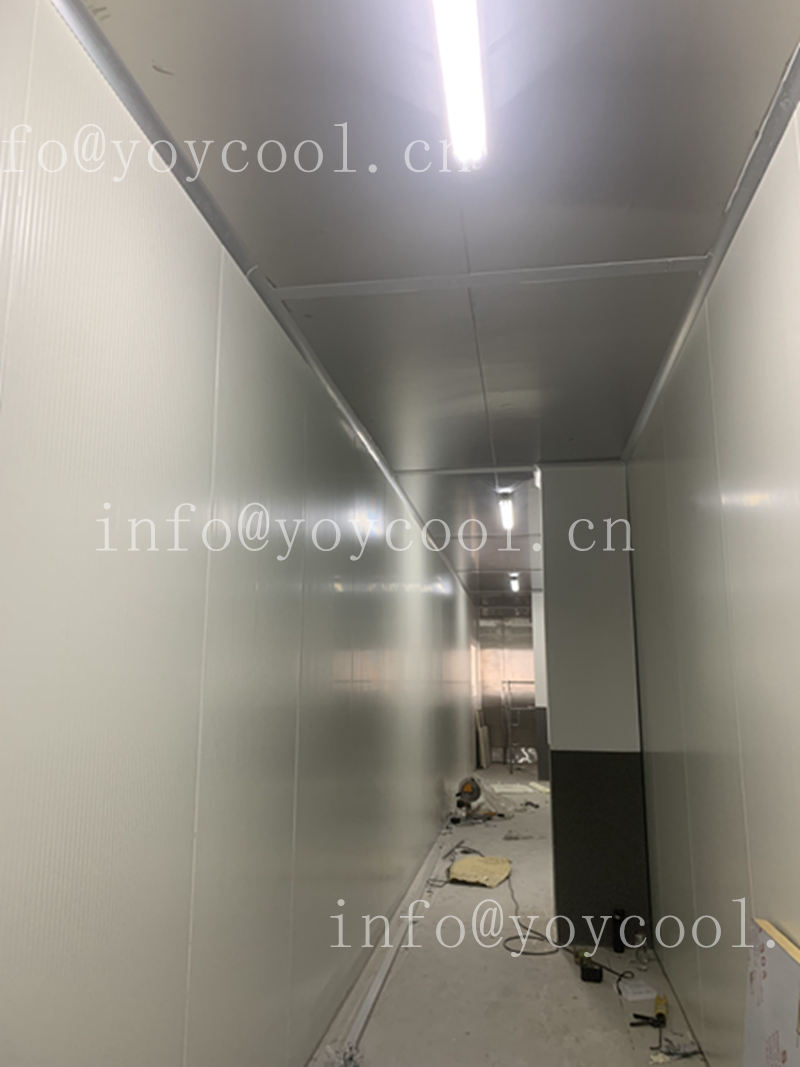 Singapore Food Processing cold room (7)