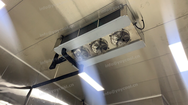 Reconstruction of food processing plant in Indonesia-YOYCOOL (8)