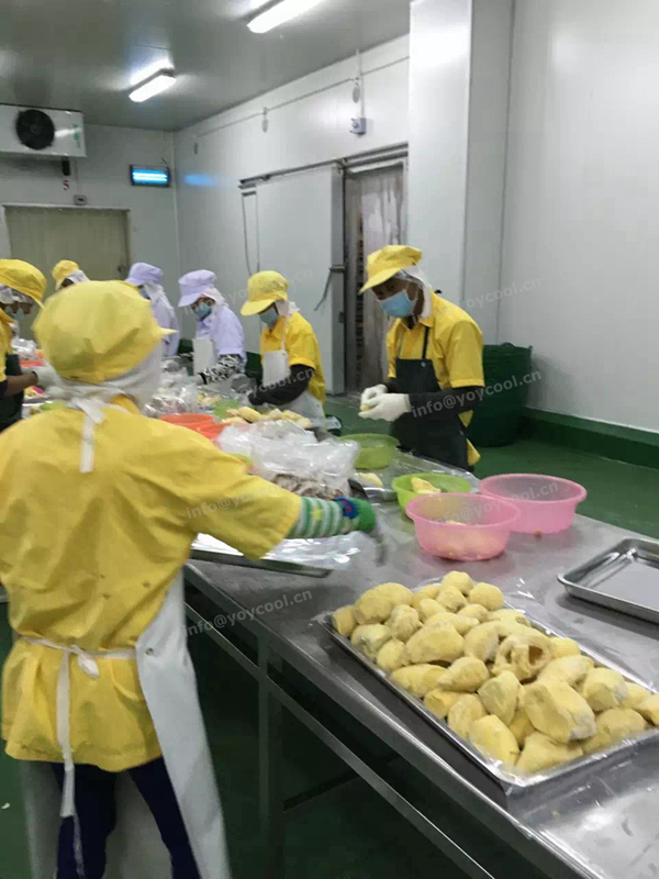 Thailand durian cold room - YOYCOOL (6)