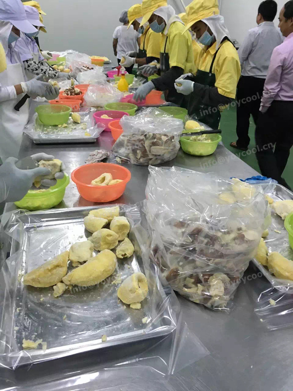 Thailand durian cold room - YOYCOOL (5)