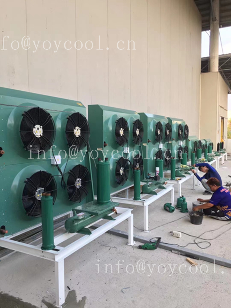 Philippines cold room -4