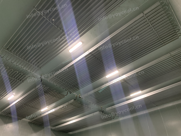 Reconstruction of food processing plant in Indonesia-YOYCOOL (9)