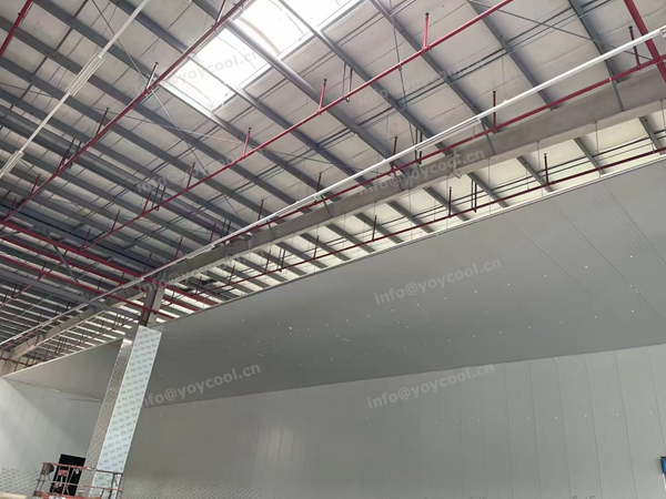 Singapore freezer room - YOYCOOL (3)